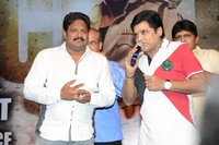 Race Gurram Success Meet Photos